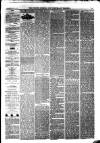 South Durham & Cleveland Mercury Saturday 05 June 1869 Page 5