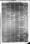 South Durham & Cleveland Mercury Saturday 19 June 1869 Page 3