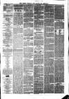 South Durham & Cleveland Mercury Wednesday 23 June 1869 Page 3