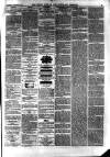 South Durham & Cleveland Mercury Saturday 06 November 1869 Page 3