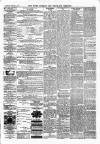 South Durham & Cleveland Mercury Saturday 05 February 1870 Page 3