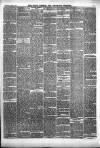 South Durham & Cleveland Mercury Saturday 09 April 1870 Page 3