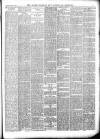 South Durham & Cleveland Mercury Saturday 20 January 1877 Page 5