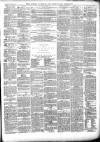 South Durham & Cleveland Mercury Saturday 03 February 1877 Page 3