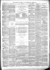 South Durham & Cleveland Mercury Saturday 31 March 1877 Page 3
