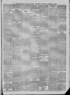 South Durham & Cleveland Mercury Saturday 12 January 1889 Page 7
