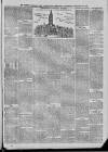 South Durham & Cleveland Mercury Saturday 26 January 1889 Page 7