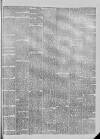 South Durham & Cleveland Mercury Saturday 09 February 1889 Page 5