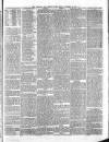 Cornubian and Redruth Times Friday 19 November 1880 Page 4