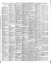 Cornubian and Redruth Times Friday 31 January 1890 Page 3