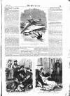 The Days' Doings Saturday 04 March 1871 Page 13