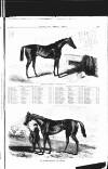 Illustrated Weekly News Saturday 14 June 1862 Page 9