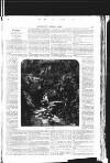 Illustrated Weekly News Saturday 23 August 1862 Page 13