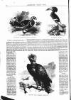 Illustrated Weekly News Saturday 01 November 1862 Page 4