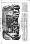 Illustrated Weekly News Saturday 17 January 1863 Page 5