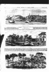 Illustrated Weekly News Saturday 25 June 1864 Page 4