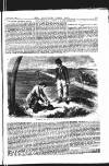Illustrated Weekly News Saturday 25 March 1865 Page 5