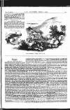 Illustrated Weekly News Saturday 02 September 1865 Page 13