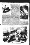 Illustrated Weekly News Saturday 11 November 1865 Page 4