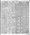 Warder and Dublin Weekly Mail Saturday 18 March 1899 Page 5