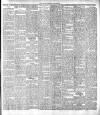 Warder and Dublin Weekly Mail Saturday 08 April 1899 Page 5