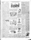 Warder and Dublin Weekly Mail Saturday 25 August 1900 Page 11