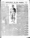 Warder and Dublin Weekly Mail Saturday 17 November 1900 Page 9