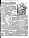 Warder and Dublin Weekly Mail Saturday 23 February 1901 Page 11