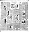 Warder and Dublin Weekly Mail Saturday 01 February 1902 Page 3