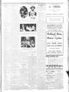 Lincolnshire Standard and Boston Guardian Saturday 05 July 1913 Page 5