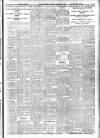Lincolnshire Standard and Boston Guardian Saturday 12 November 1932 Page 3