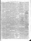 Diss Express Friday 14 May 1875 Page 7