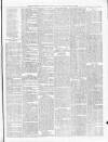 Diss Express Friday 14 February 1879 Page 7