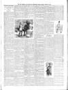 Diss Express Friday 20 March 1891 Page 3
