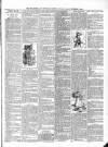 Diss Express Friday 01 September 1893 Page 3