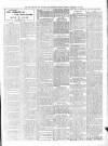 Diss Express Friday 24 February 1905 Page 3