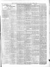 Diss Express Friday 10 March 1905 Page 7
