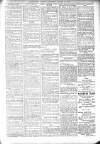 Bexhill-on-Sea Observer Saturday 11 October 1902 Page 15