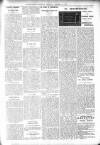 Bexhill-on-Sea Observer Saturday 25 October 1902 Page 7