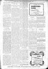 Bexhill-on-Sea Observer Saturday 03 January 1903 Page 3