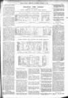 Bexhill-on-Sea Observer Saturday 03 January 1903 Page 11