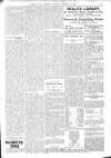 Bexhill-on-Sea Observer Saturday 17 January 1903 Page 9