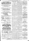 Bexhill-on-Sea Observer Saturday 17 January 1903 Page 13