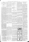 Bexhill-on-Sea Observer Saturday 29 August 1903 Page 5