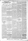 Bexhill-on-Sea Observer Saturday 09 April 1904 Page 7