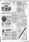 Bexhill-on-Sea Observer Saturday 09 April 1904 Page 13