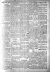 Bexhill-on-Sea Observer Saturday 04 February 1905 Page 11