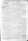 Bexhill-on-Sea Observer Saturday 04 March 1905 Page 7