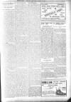 Bexhill-on-Sea Observer Saturday 04 March 1905 Page 9