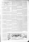 Bexhill-on-Sea Observer Saturday 18 March 1905 Page 7